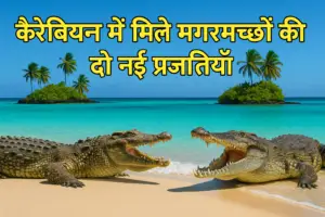क्यों हैं ये मगरमच्छ इतने खास ?